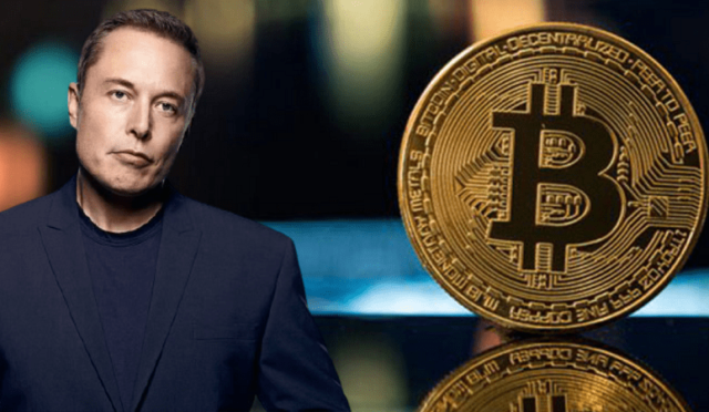 Elon Musk’ın Bitcoin Geliri Tesla’yı Geride Bıraktı